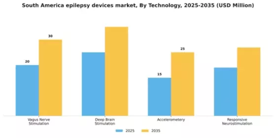 South America Epilepsy Devices Market Segment Image 2