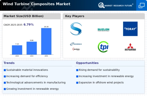 Wind Turbine Composites Market Infographic