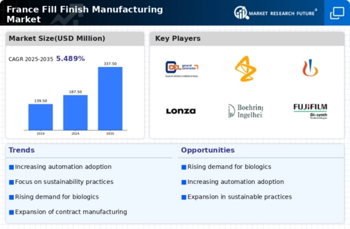 France Fill Finish Manufacturing Market Infographic