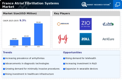 France Atrial Fibrillation Systems Market Infographic