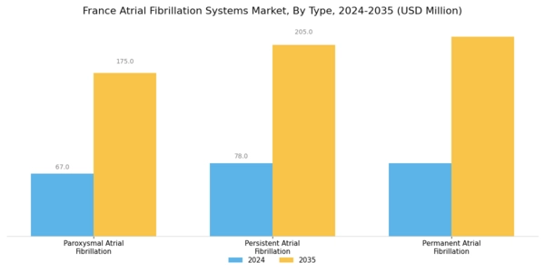 France Atrial Fibrillation Systems Market Segment Image 0