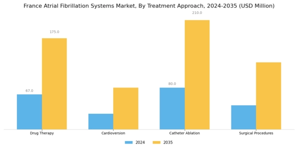 France Atrial Fibrillation Systems Market Segment Image 1