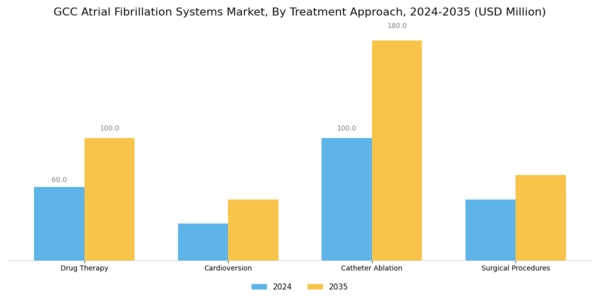 GCC Atrial Fibrillation Systems Market Segment Image 1