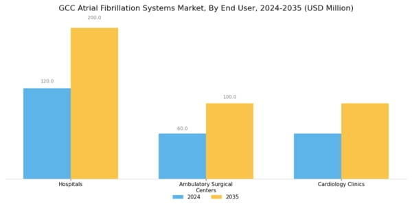 GCC Atrial Fibrillation Systems Market Segment Image 2