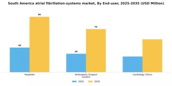 South America Atrial Fibrillation Systems Market Segment Image 0