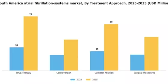 South America Atrial Fibrillation Systems Market Segment Image 1