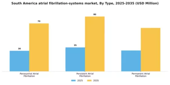 South America Atrial Fibrillation Systems Market Segment Image 2