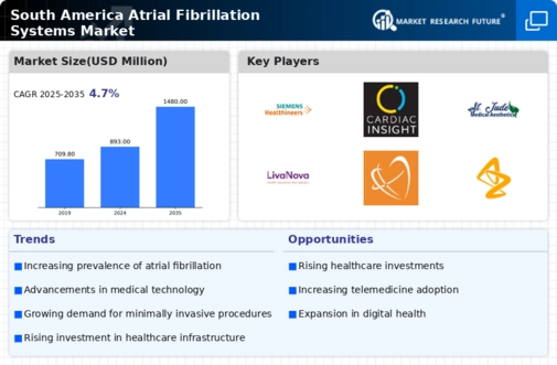 South America Atrial Fibrillation Systems Market Infographic