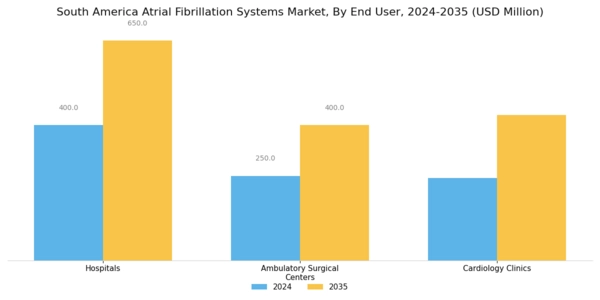 South America Atrial Fibrillation Systems Market Segment Image 2