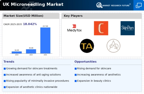 UK Microneedling Market Infographic