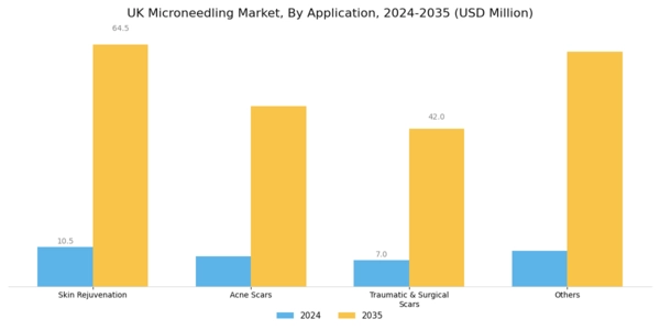 UK Microneedling Market Segment Image 3