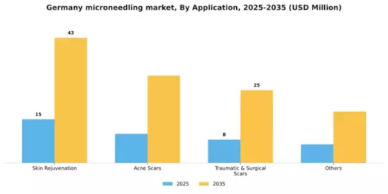 Germany Microneedling Market Segment Image 0