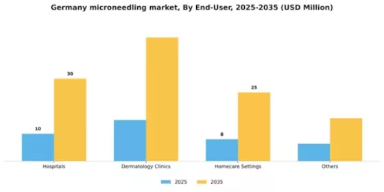Germany Microneedling Market Segment Image 1