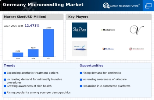 Germany Microneedling Market Infographic
