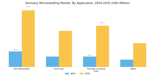 Germany Microneedling Market Segment Image 3