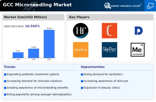 GCC Microneedling Market Infographic
