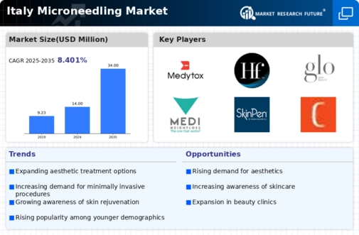 Italy Microneedling Market Infographic