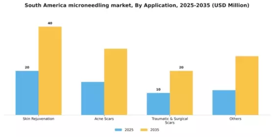 South America Microneedling Market Segment Image 0