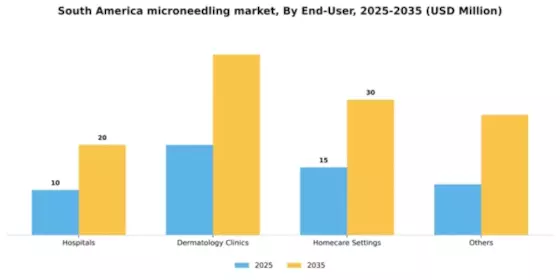South America Microneedling Market Segment Image 1