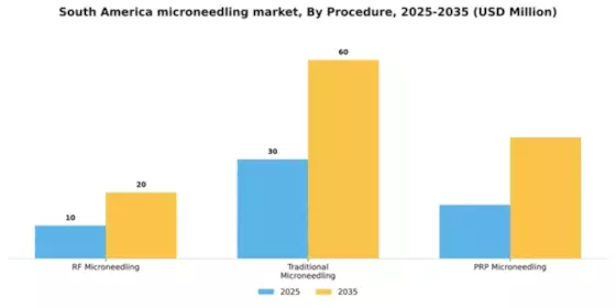 South America Microneedling Market Segment Image 3