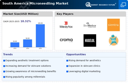 South America Microneedling Market Infographic