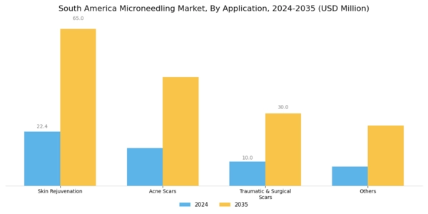 South America Microneedling Market Segment Image 3