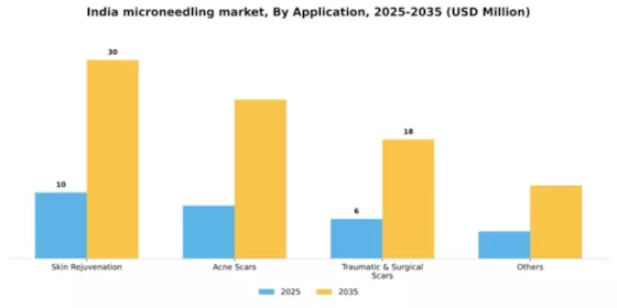 India Microneedling Market Segment Image 0