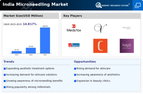 India Microneedling Market Infographic