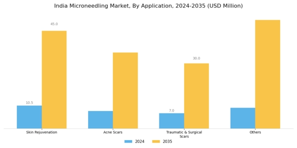 India Microneedling Market Segment Image 3