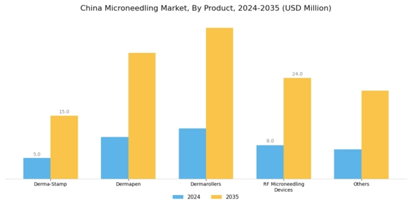 China Microneedling Market Segment Image 1
