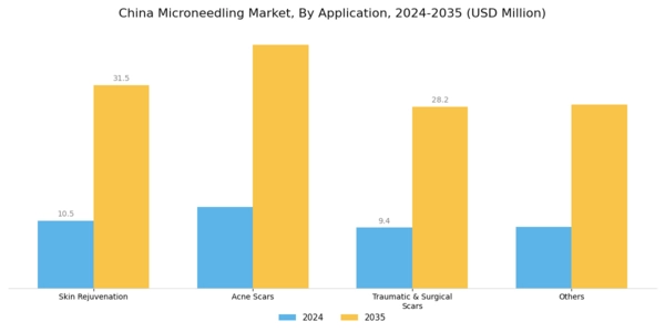 China Microneedling Market Segment Image 3