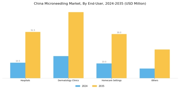 China Microneedling Market Segment Image 4