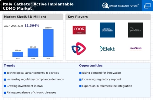 Italy Catheters Active Implantable CDMO Market Infographic