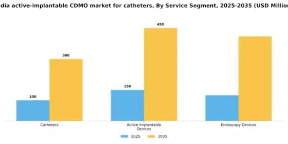 India Catheters Active Implantable CDMO Market Segment Image 1