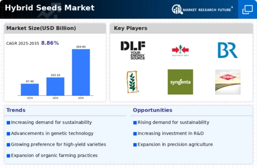 Hybrid Seeds Market Infographic