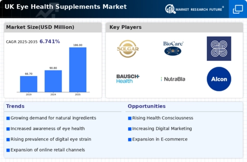 UK Eye Health Supplements Market Infographic