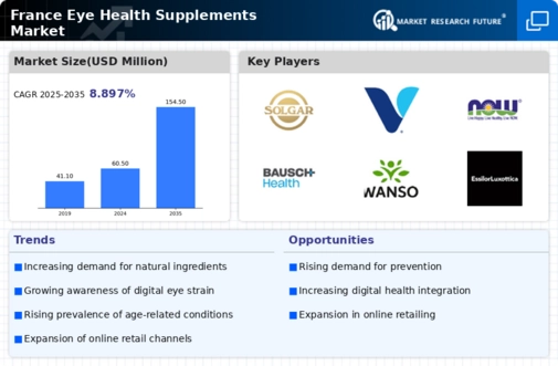 France Eye Health Supplements Market Infographic
