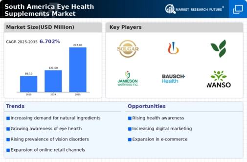 South America Eye Health Supplements Market Infographic