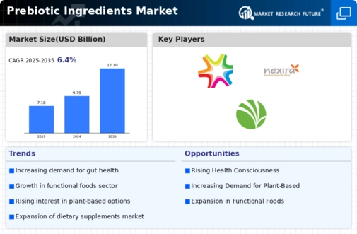 Prebiotic Ingredients Market Research Report - Forecast till 2032 Infographic