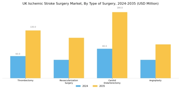 UK Ischemic Stroke Surgery Market Segment Image 0