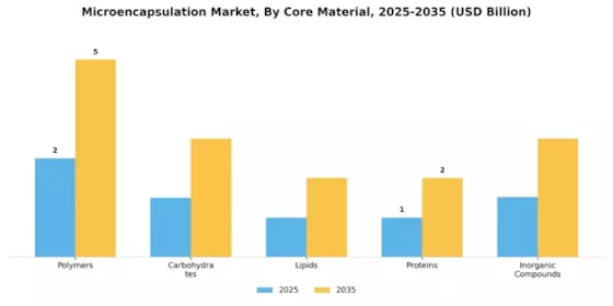 Micro Encapsulation Market Segment Image 1