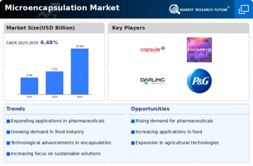 Micro Encapsulation Market Infographic
