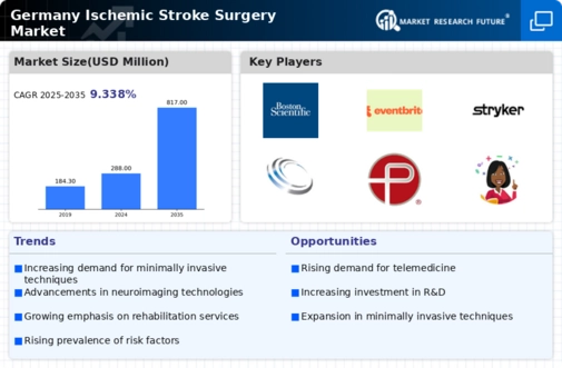 Germany Ischemic Stroke Surgery Market Infographic