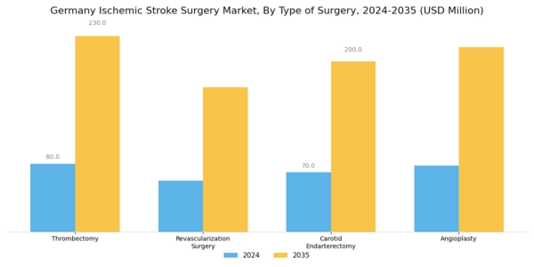 Germany Ischemic Stroke Surgery Market Segment Image 0