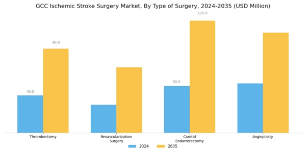 GCC Ischemic Stroke Surgery Market Segment Image 0