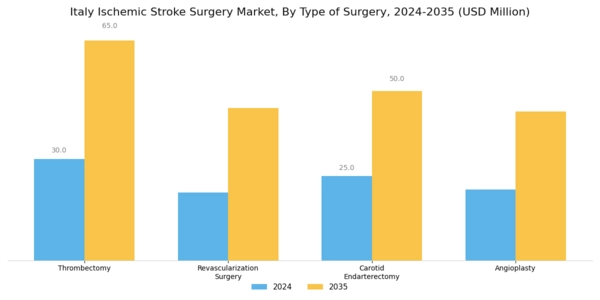 Italy Ischemic Stroke Surgery Market Segment Image 0