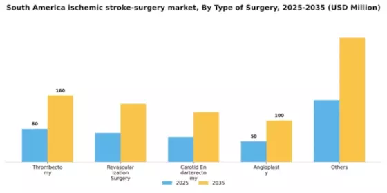 South America Ischemic Stroke Surgery Market Segment Image 2