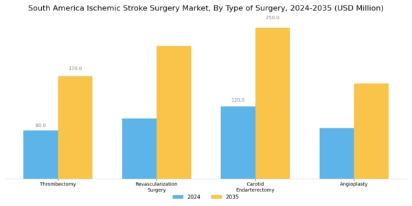 South America Ischemic Stroke Surgery Market Segment Image 0
