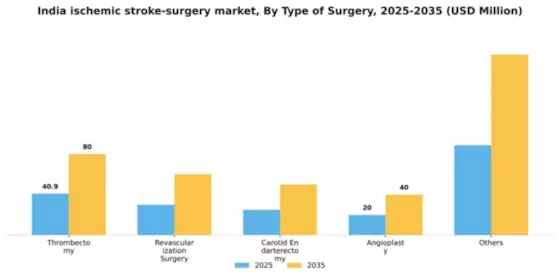 India Ischemic Stroke Surgery Market Segment Image 2