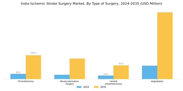 India Ischemic Stroke Surgery Market Segment Image 0